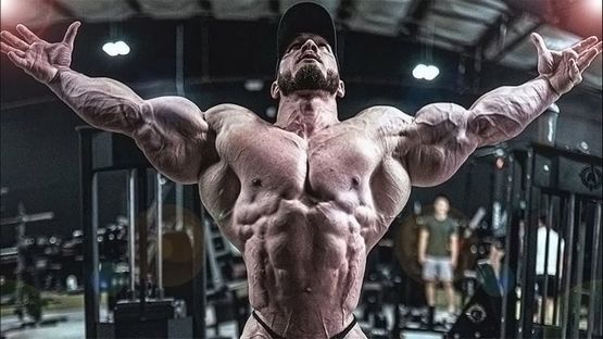 Trestolone Enanthate Steroid-Kurs Trestolone Enanthate Steroid-Kurs